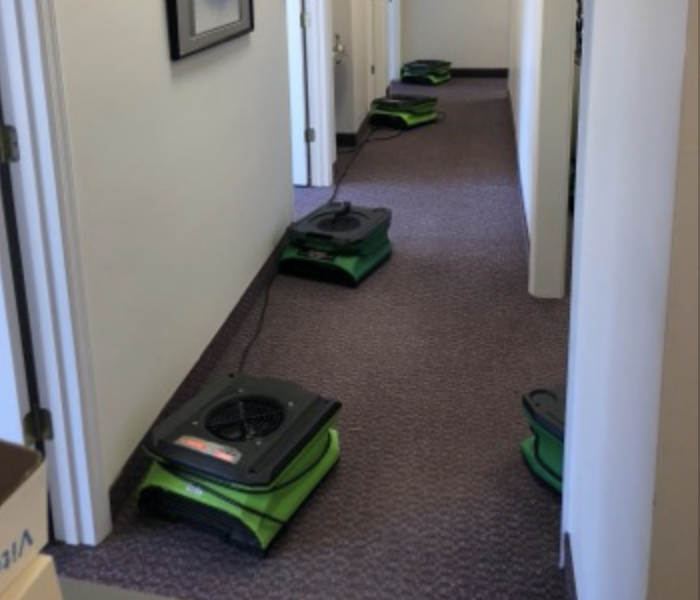Green drying equipment set up and running in hallway of a commercial building.