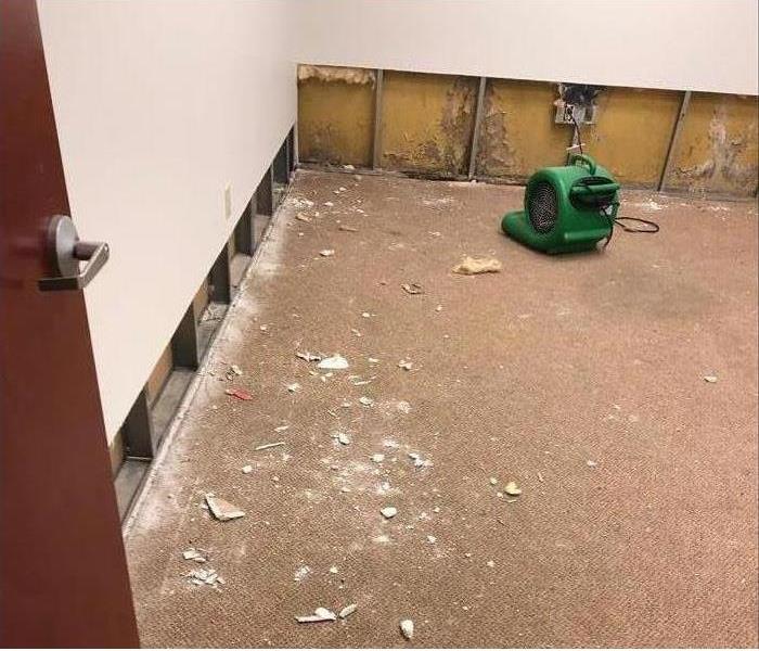 air mover on the floor, flood cut performed on drywall and mold found behind drywall