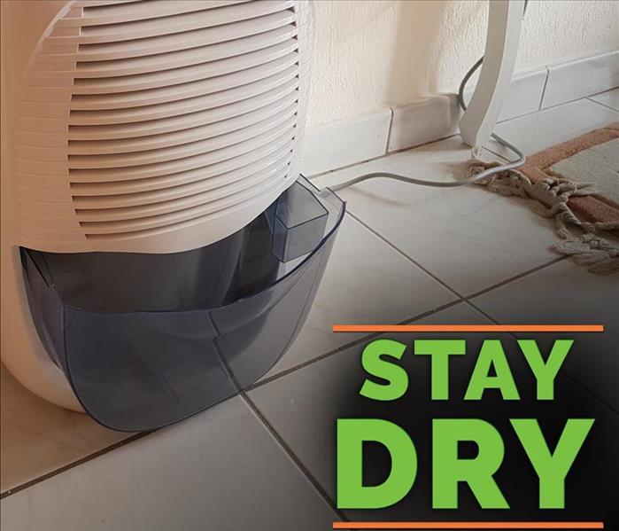 Portable dehumidifier and a phrase "STAY DRY"