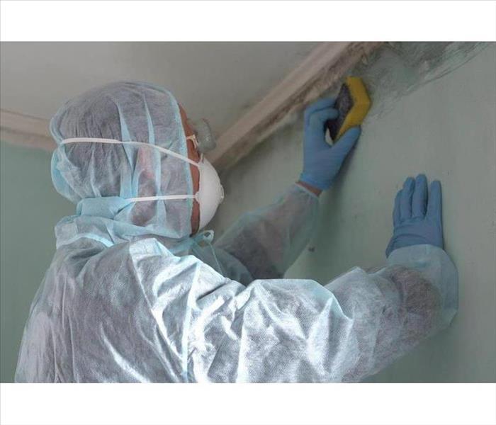 A Man Cleaning Mold From Wall Using A Sponge